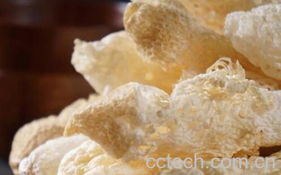 竹笋菌怎么吃最好 竹笋菌的食用方法大全-1