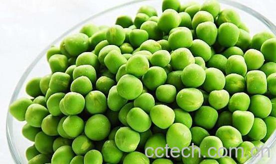 什么人不能吃豌豆 吃豌豆的禁忌有哪些-1