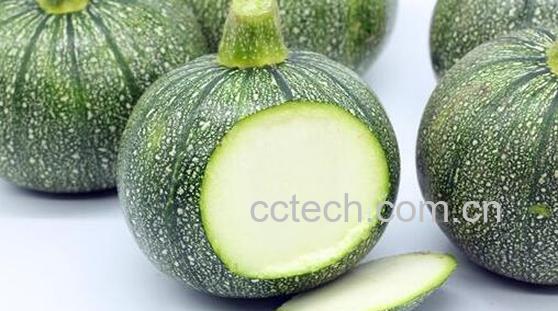 西葫芦与嫩南瓜的区别-1