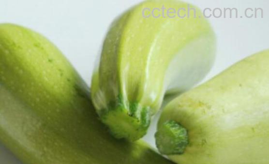 菜瓜和西葫芦怎么区分-0