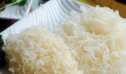 鲜银耳的吃法与禁忌-0