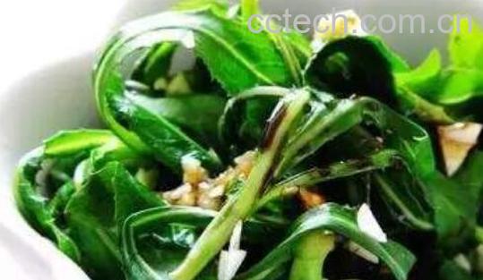 山苦荬怎么吃 山苦荬的食用方法-0