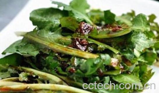 山苦荬怎么吃 山苦荬的食用方法-1