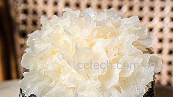 新鲜银耳怎么处理去毒 吃鲜活银耳注意事项-0