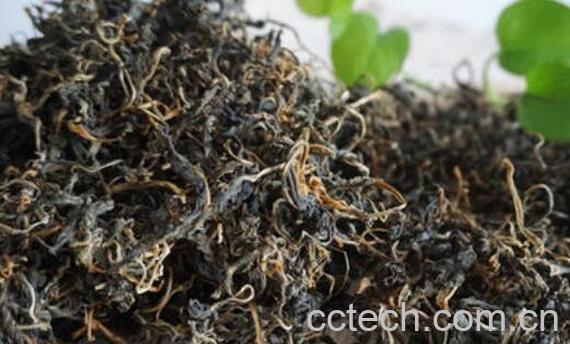 苦菜怎么晒干 晒干苦菜的做法大全-0