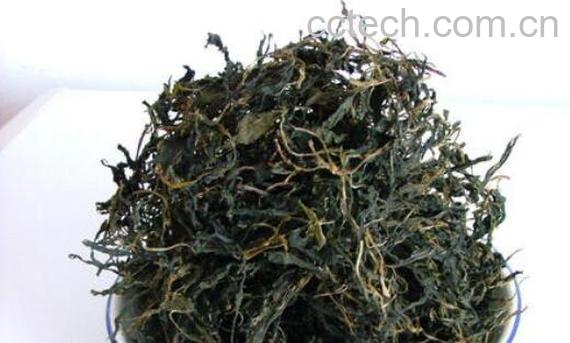 苦菜怎么晒干 晒干苦菜的做法大全-1