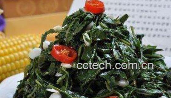 苦菜的正确吃法 苦菜怎么吃好-1