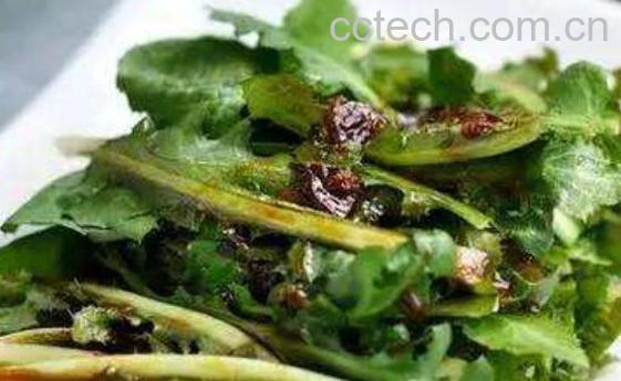 苦菜的正确吃法 苦菜怎么吃好-0