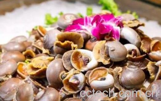 玉螺怎么吃好吃 玉螺的正确食用方法-0