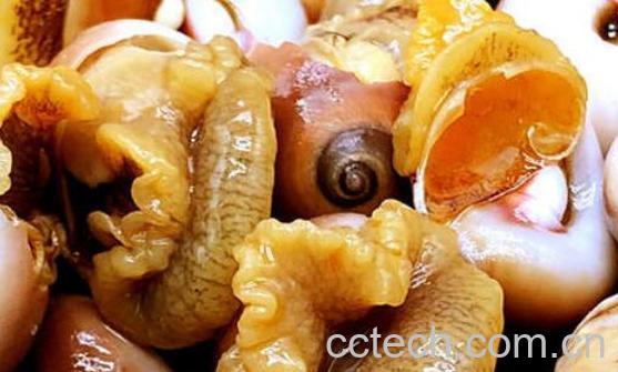 玉螺怎么吃好吃 玉螺的正确食用方法-1