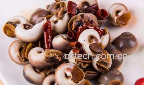 玉螺怎么处理干净 玉螺怎么清洗-0