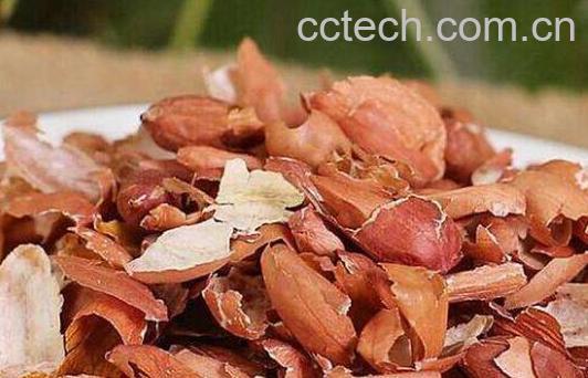 花生衣和花生皮的区别 吃花生衣的好处-0