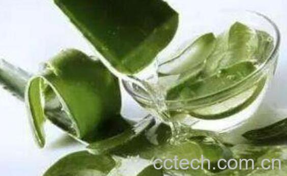 新鲜芦荟怎么保存 新鲜芦荟保存方法技巧-1