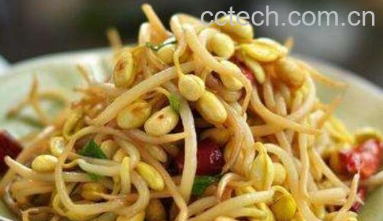 黄豆芽怎么做好吃 黄豆芽的家常做法教程-0