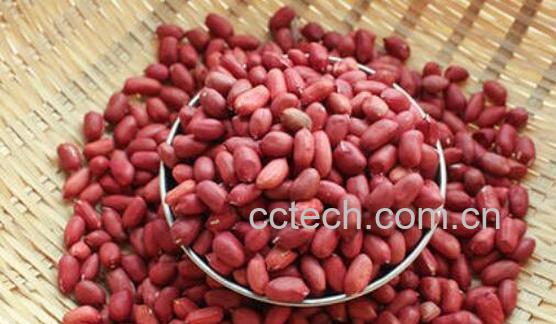 生花生米的功效与作用及禁忌-1