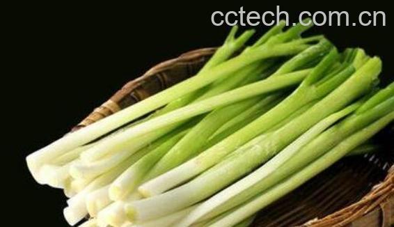 生吃大葱对身体好吗 生吃大葱的好处与坏处-0