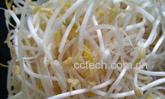 怎样生芽菜 生黄豆芽的方法-1