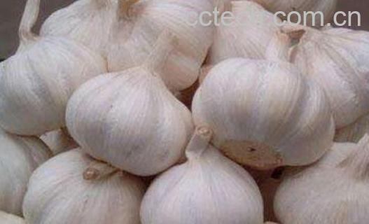 吃大蒜有什么好处 吃大蒜的功效与作用-1