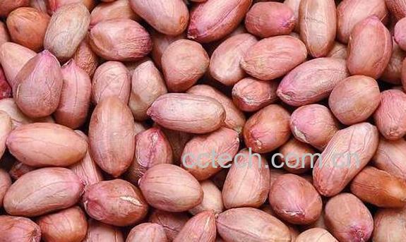 生花生泡水的好处-1