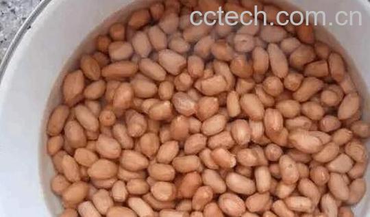 生花生泡水的功效和作用 生花生泡水的好处-0