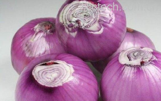 为什么女人不能吃洋葱 什么人不适合吃洋葱-0