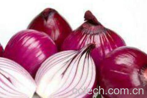 为什么女人不能吃洋葱 什么人不适合吃洋葱-1