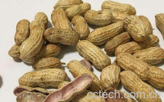 花生壳泡脚有什么功效 花生壳煮水泡脚的功效与作用-0