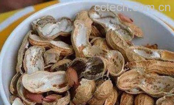 花生壳煮水的正确做法-0