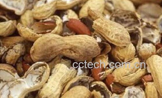 花生壳煮水的正确做法-1