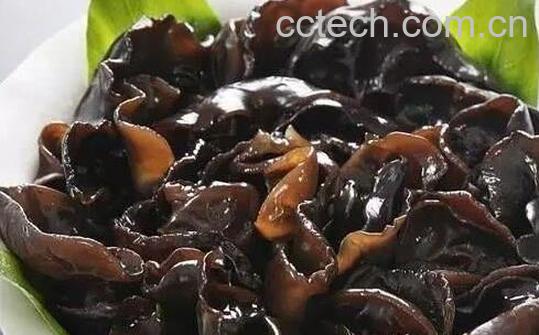 云耳和木耳的区别 吃云耳的好处-1