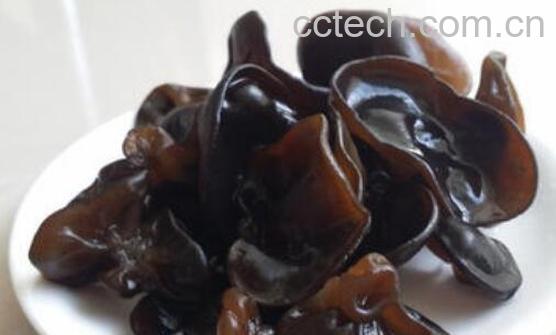 云耳和木耳的区别 吃云耳的好处-0