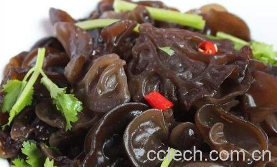 芥末木耳怎么做 芥末木耳的家常做法教程-0