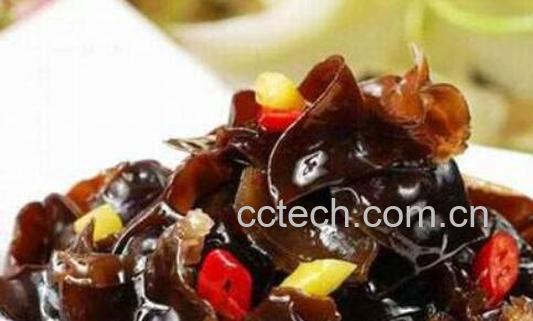 芥末木耳的功效与作用-0