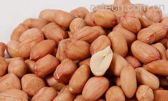 吃生花生有什么好处和坏处-0