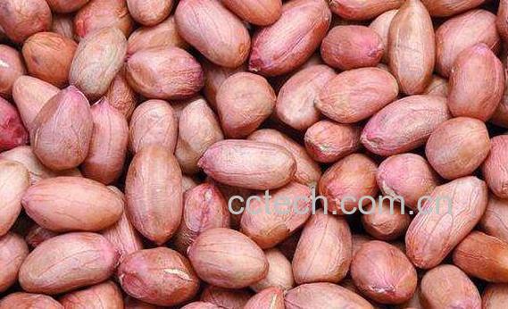 吃生花生的好处和坏处-1