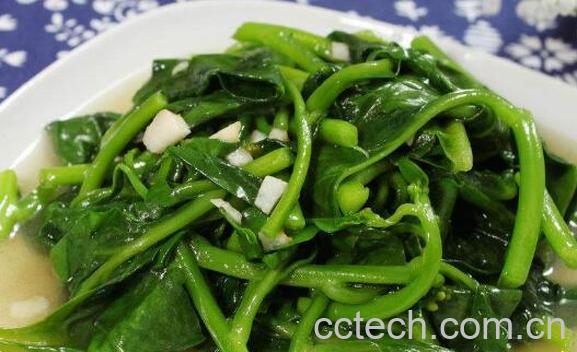 木耳菜怎么做好吃 木耳菜的食用方法-1