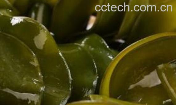 海木耳的功效与作用 吃海木耳的好处-0