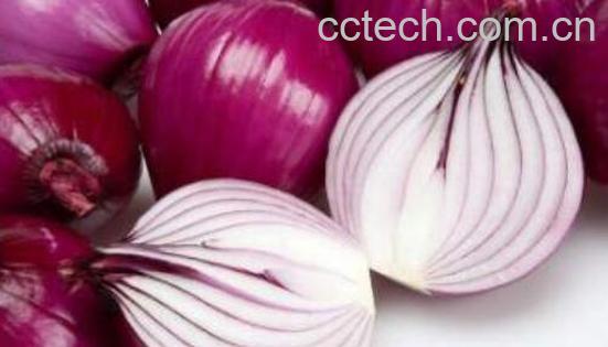 三类人不能吃洋葱 吃洋葱的禁忌-0