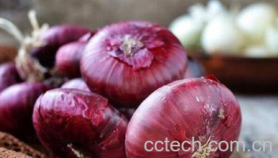 三类人不能吃洋葱 吃洋葱的禁忌-1