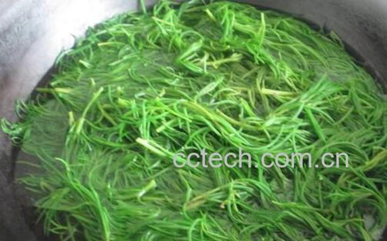 碱蓬菜的功效与作用 碱蓬菜的副作用-1