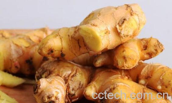 新鲜沙姜怎么吃 沙姜的食用方法-0