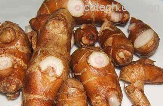 沙姜和风酱的区别 沙姜怎么吃最好-1