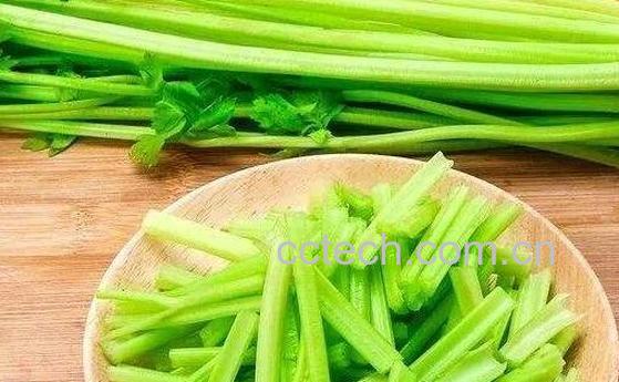 尿酸高是什么引起的 尿酸高吃什么食物好-1