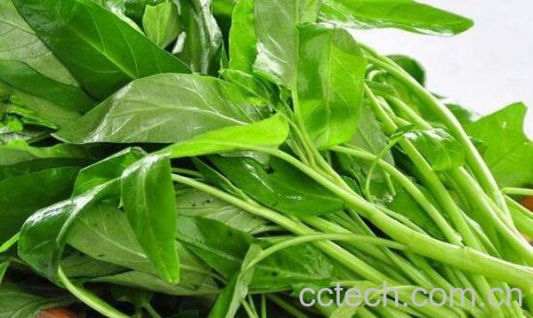 尿酸高是什么引起的 尿酸高吃什么食物好-0