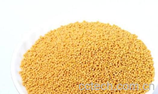 芥末籽怎么加工才能吃 芥末籽怎么做成芥末-1