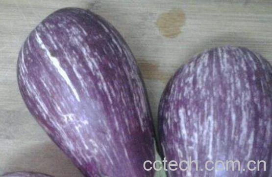  花茄子的功效与作用-0