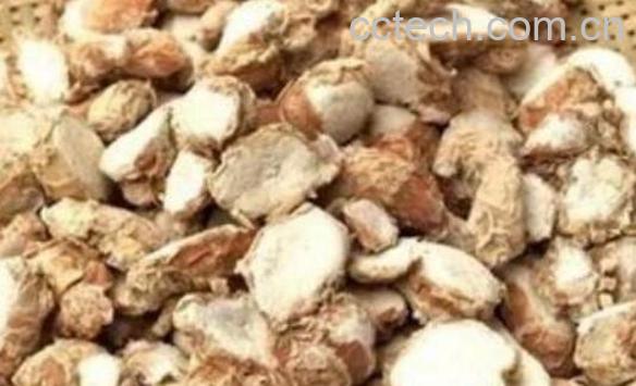 沙姜和老姜有什么区别-0