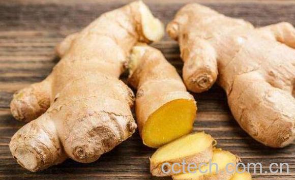 沙姜和老姜有什么区别-1