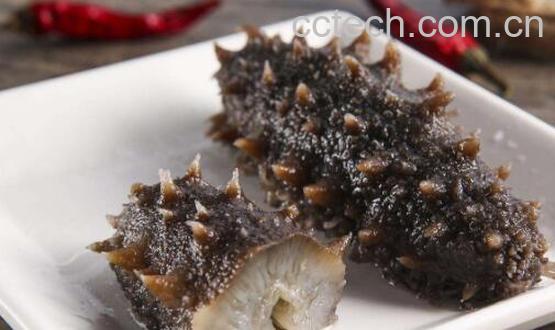 九类人群不适合吃海参 吃海参的禁忌-1