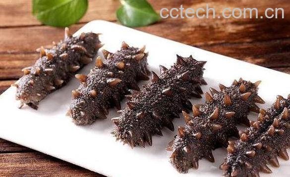 九类人群不适合吃海参 吃海参的禁忌-0